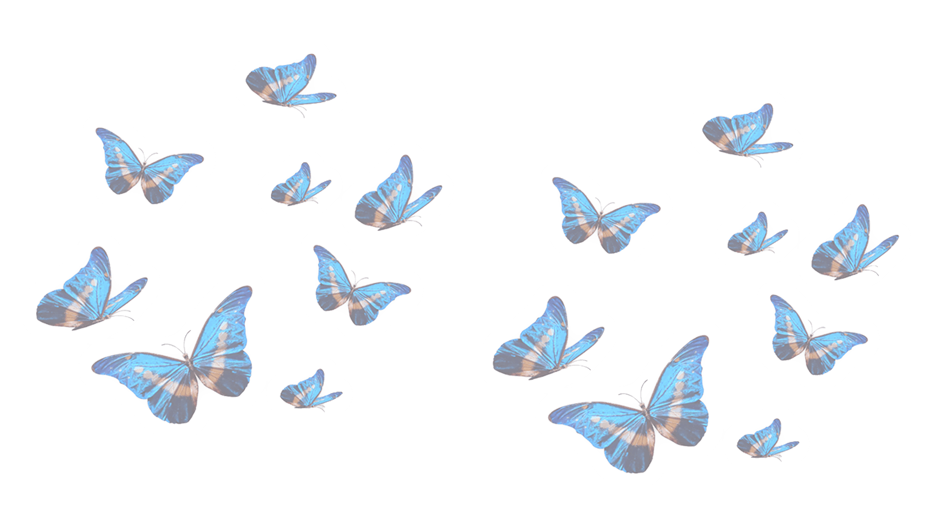 The Butterfly Effect